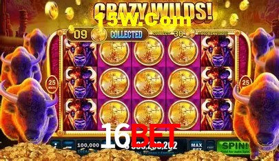 16 Bet Casino
